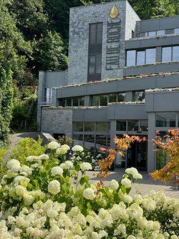 Hotel Wellness Eau De Roche Дюрбюи Экстерьер фото